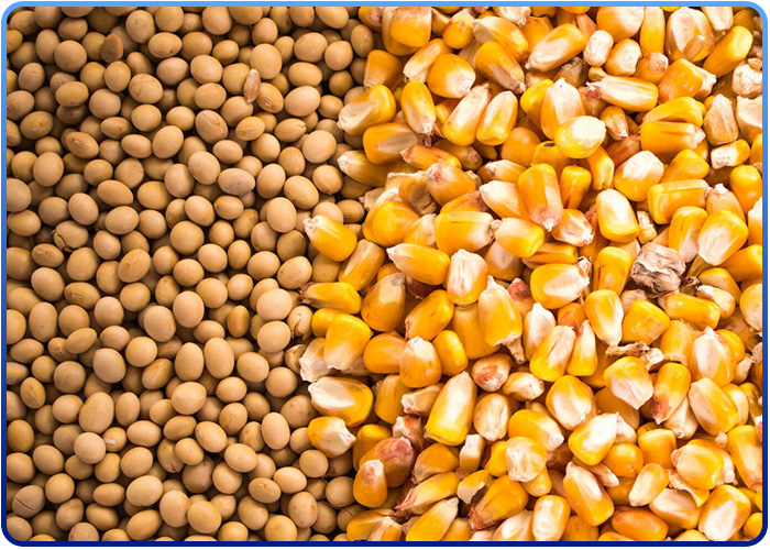 project-slider-image