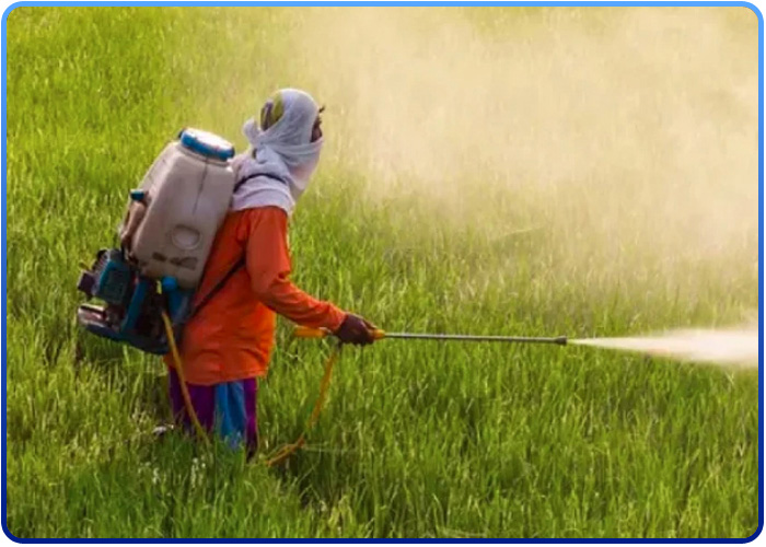 project-slider-image